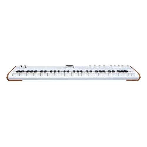 Arturia AstroLab 61-key Stage Keyboard