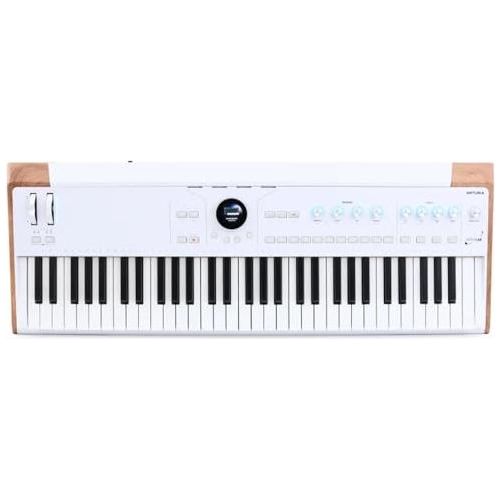 Arturia AstroLab Avant-garde 61-Key Stage Keyboard Bundle w/Pig hog PMID06 6ft MIDI Cable, Liquid Audio Sustain Pedal and Liquid Audio Polishing Cloth