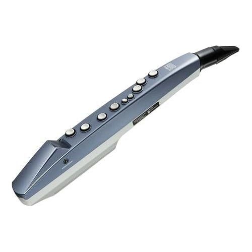 Roland Aerophone Digital Wind Instrument