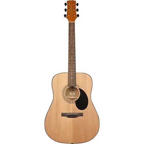 Jasmine Acoustic Guitar