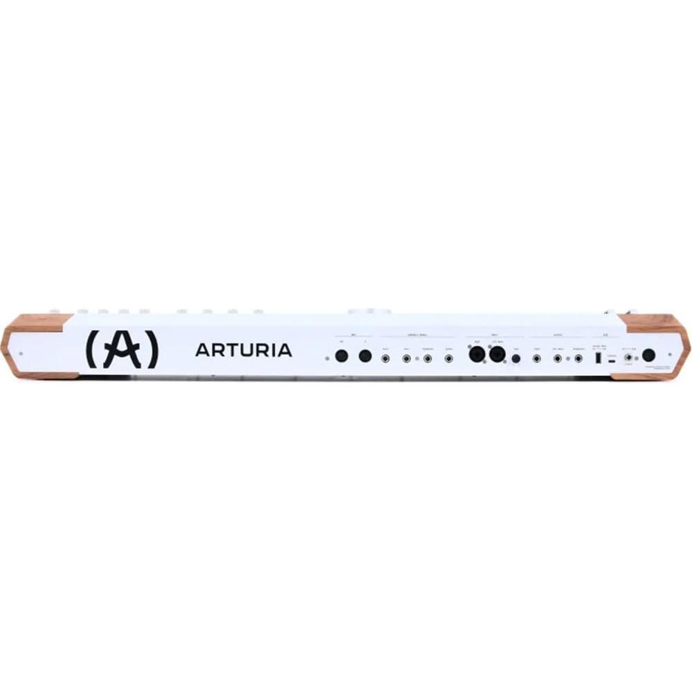 Arturia AstroLab Avant-garde 61-Key Stage Keyboard Bundle w/ 2-Pack Pig Hog PMID06 6ft MIDI Cable, Liquid Audio Sustain Pedal and Liquid Audio Polishing Cloth