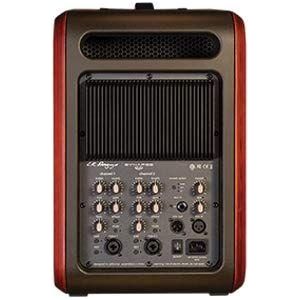 LR Baggs Synapse Personal PA System