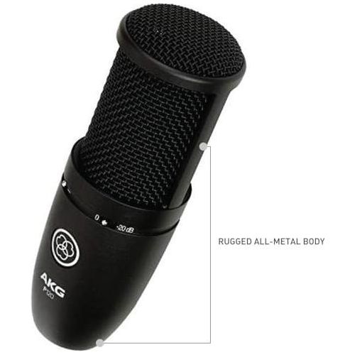 AKG P120 High-Performance General Purpose Recording Microphone