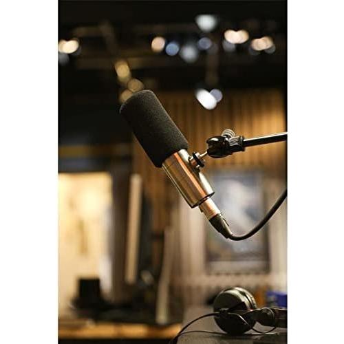 Earthworks ETHOS Streaming and Broadcasting Microphone  Silver