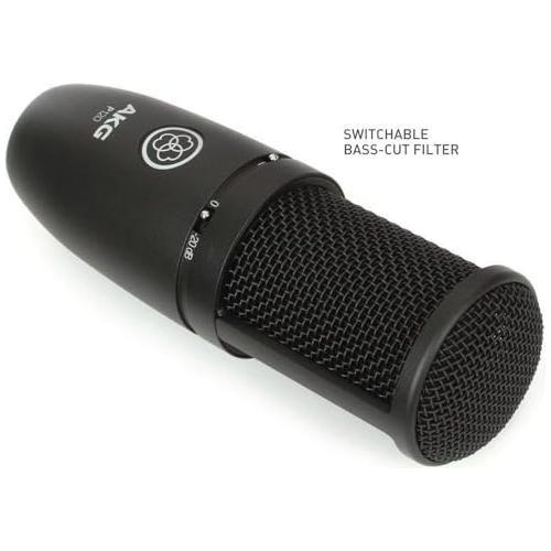 AKG P120 High-Performance General Purpose Recording Microphone