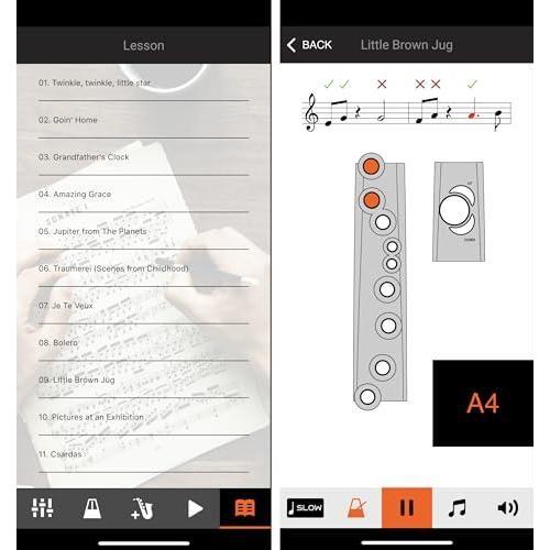 Roland Aerophone Digital Wind Instrument