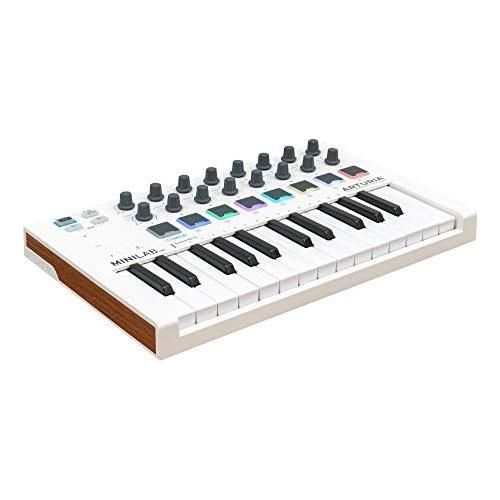 Arturia MiniLab MKII 25-Key MIDI Controller Keyboard WHITE and MIRFAK TU1 USB Microphone Professional Kit BUNDLE