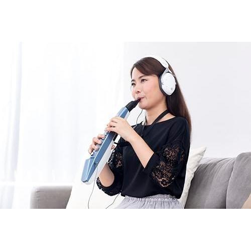 Roland Aerophone Digital Wind Instrument