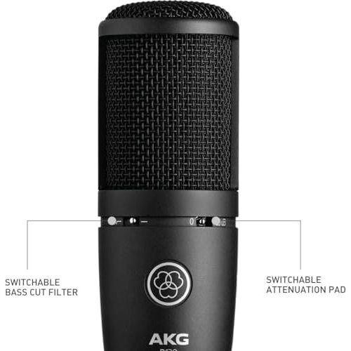 AKG P120 High-Performance General Purpose Recording Microphone