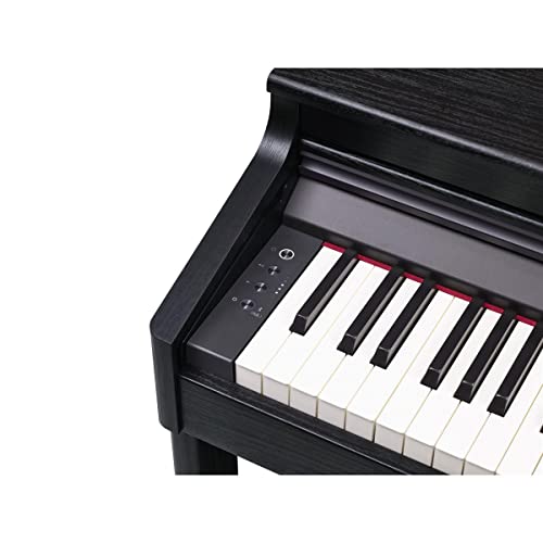 Roland RP701 Digital Piano (RP701)