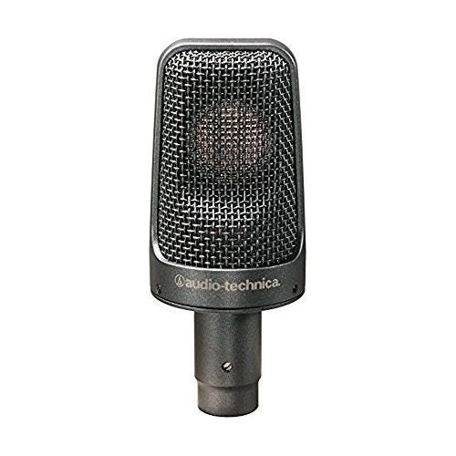 Audio-Technica AE-3000 - Large-Diaphragm Cardioid Instrument Microphone