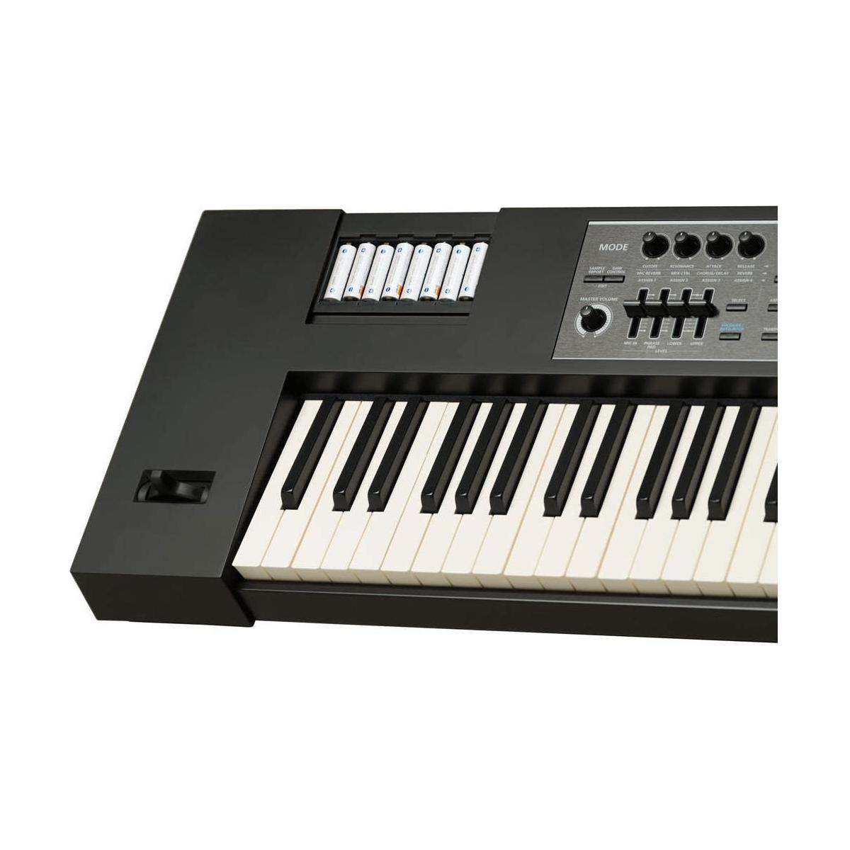 Roland JUNO-DS 61-Key Lightweight Synth-Action Keyboard with Pro Sounds