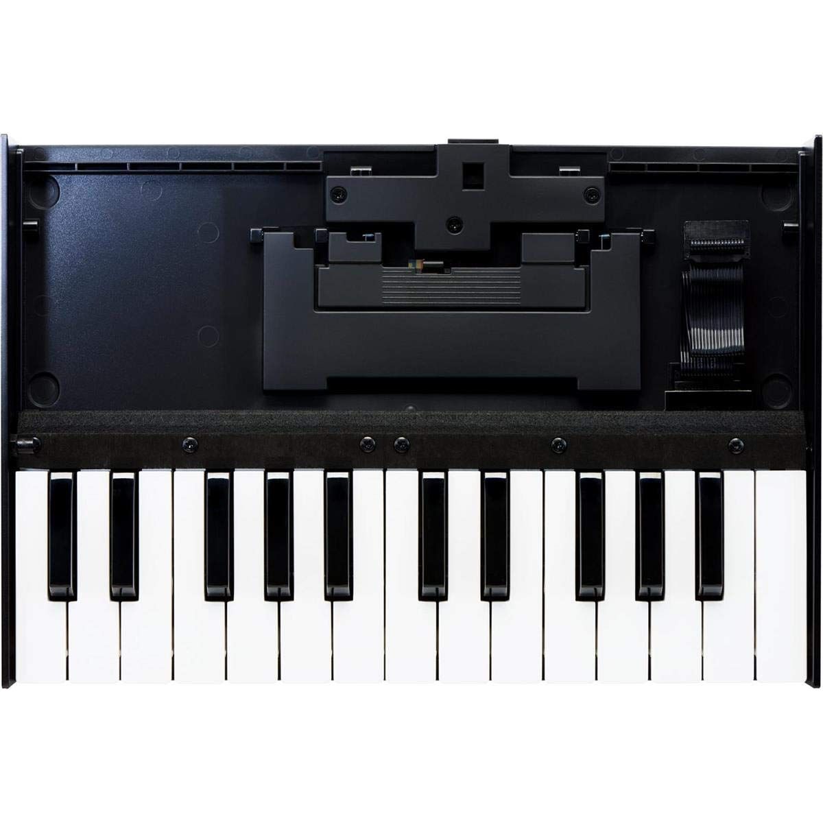 Roland K-25M Boutique Module Dock USB MIDI Keyboard, 12-Inch