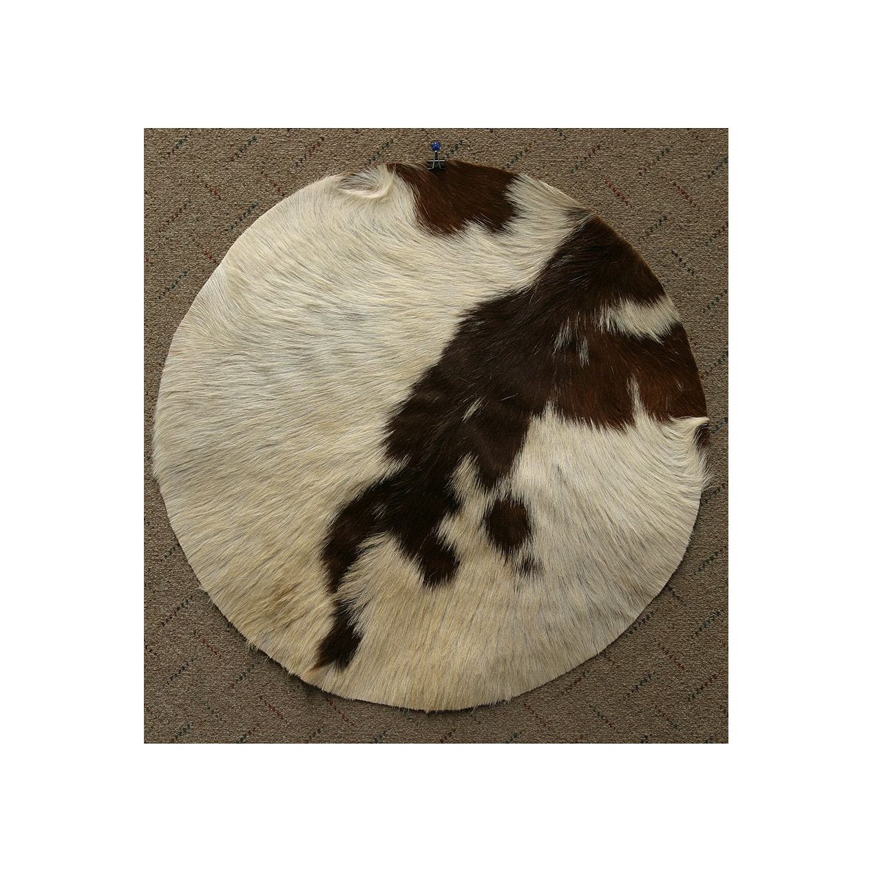 Goatskin, 26" with Hair, Medium